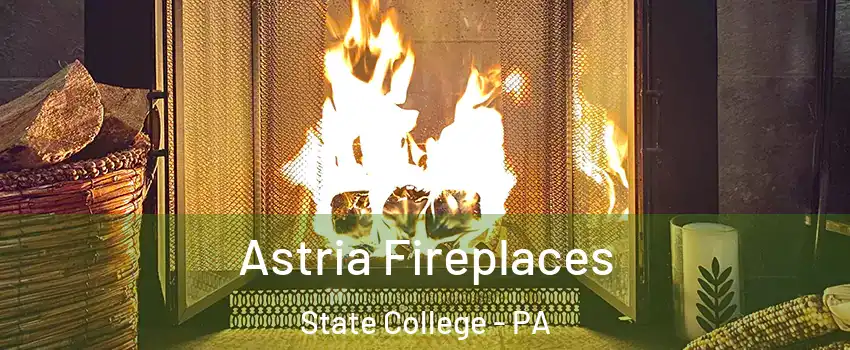  Astria Fireplaces State College - PA