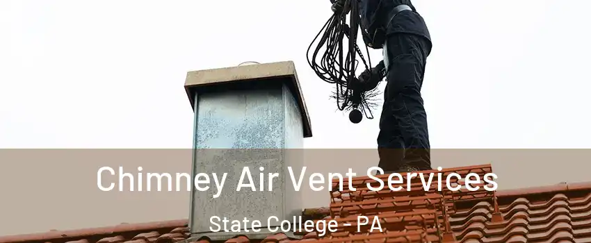 Chimney Air Vent Services State College - PA