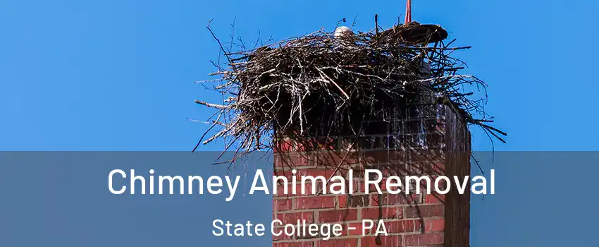 Chimney Animal Removal State College - PA