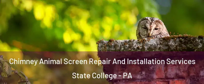  Chimney Animal Screen Repair And Installation Services State College - PA