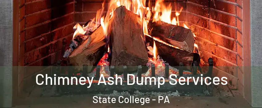  Chimney Ash Dump Services State College - PA