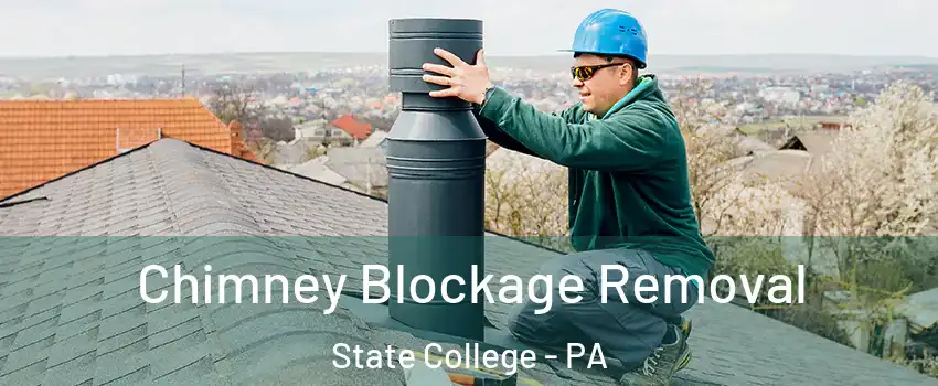  Chimney Blockage Removal State College - PA