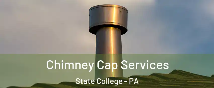  Chimney Cap Services State College - PA
