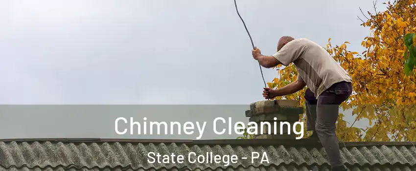 Chimney Cleaning State College - PA