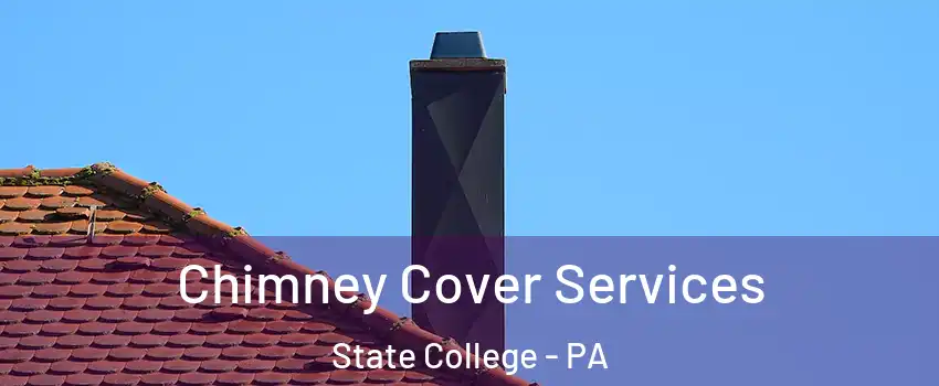  Chimney Cover Services State College - PA