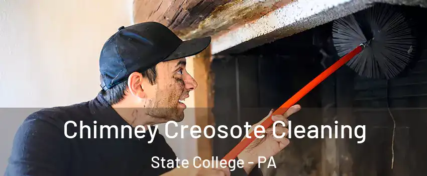  Chimney Creosote Cleaning State College - PA