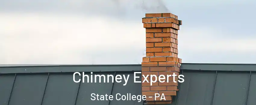  Chimney Experts State College - PA