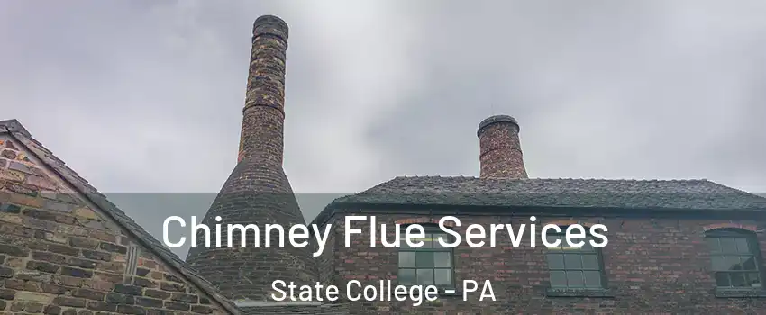  Chimney Flue Services State College - PA