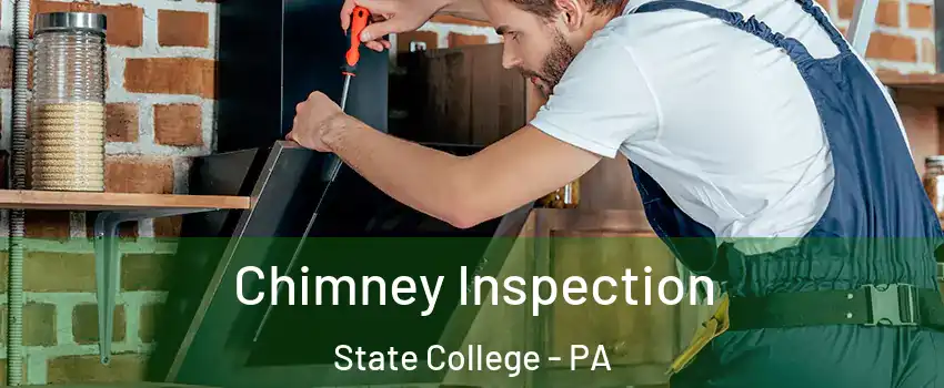  Chimney Inspection State College - PA