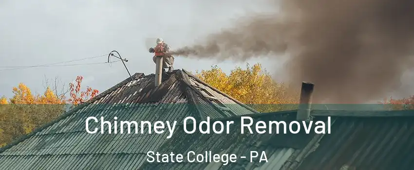  Chimney Odor Removal State College - PA