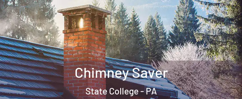  Chimney Saver State College - PA