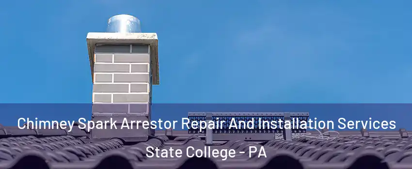  Chimney Spark Arrestor Repair And Installation Services State College - PA
