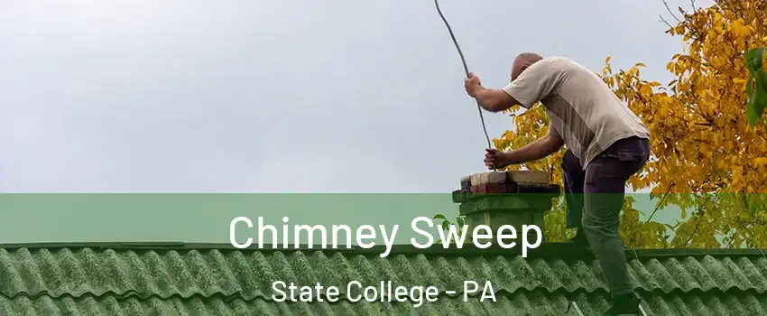  Chimney Sweep State College - PA