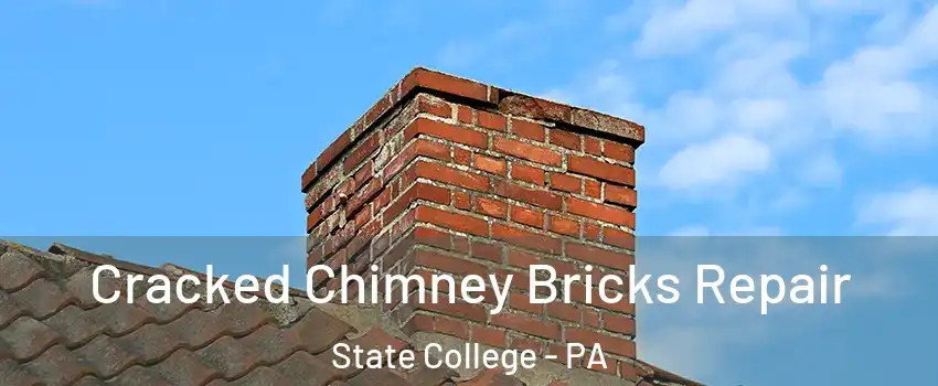  Cracked Chimney Bricks Repair State College - PA
