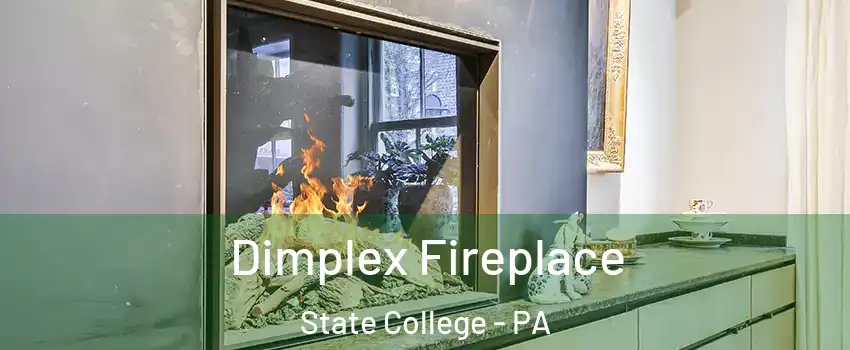  Dimplex Fireplace State College - PA