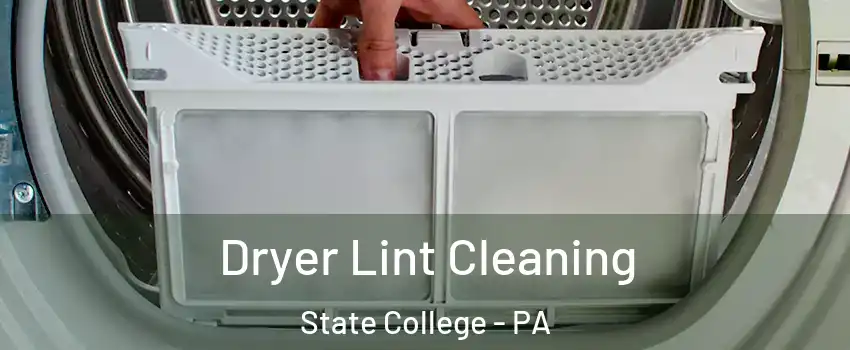  Dryer Lint Cleaning State College - PA