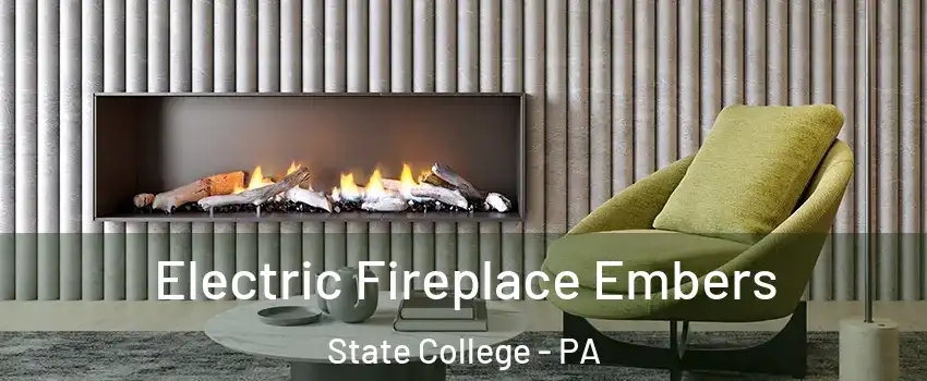 Electric Fireplace Embers State College - PA