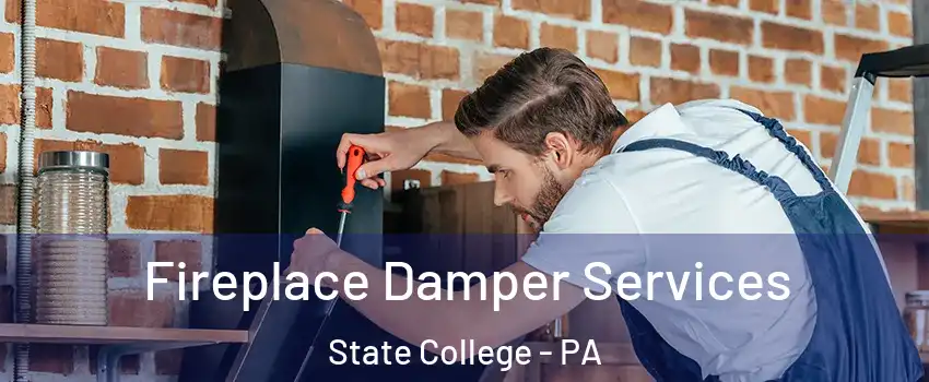  Fireplace Damper Services State College - PA