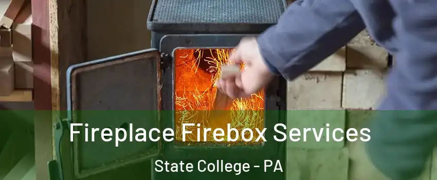  Fireplace Firebox Services State College - PA
