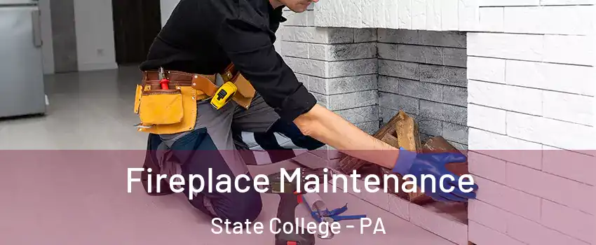  Fireplace Maintenance State College - PA