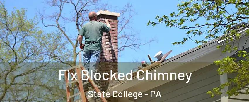  Fix Blocked Chimney State College - PA