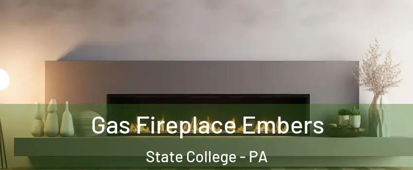  Gas Fireplace Embers State College - PA