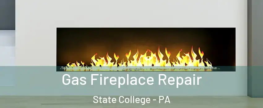  Gas Fireplace Repair State College - PA