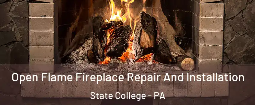  Open Flame Fireplace Repair And Installation State College - PA
