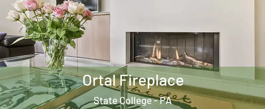  Ortal Fireplace State College - PA